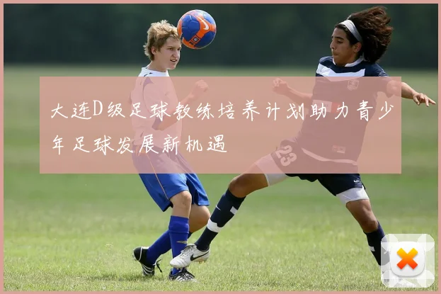大连D级足球教练培养计划助力青少年足球发展新机遇